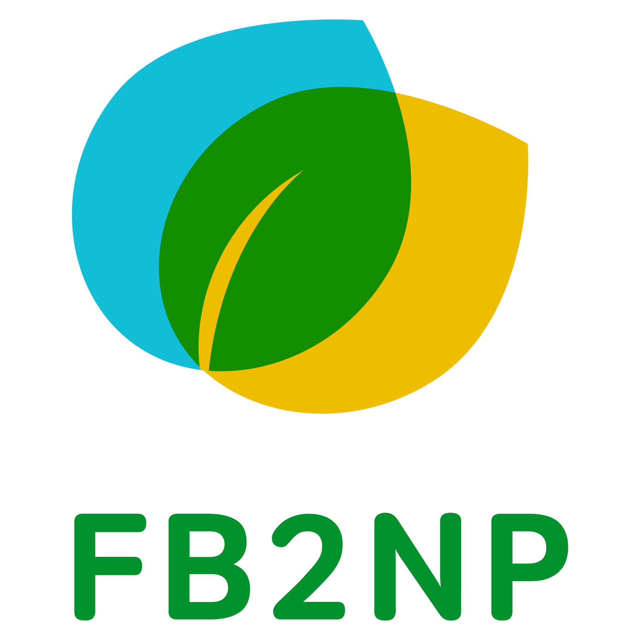 FB2NP